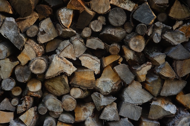 bois de chêne pour brasero