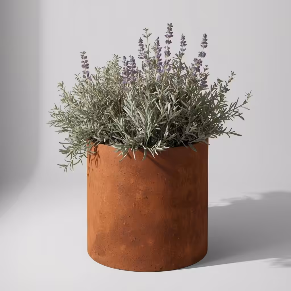 import placeholder for 39163
