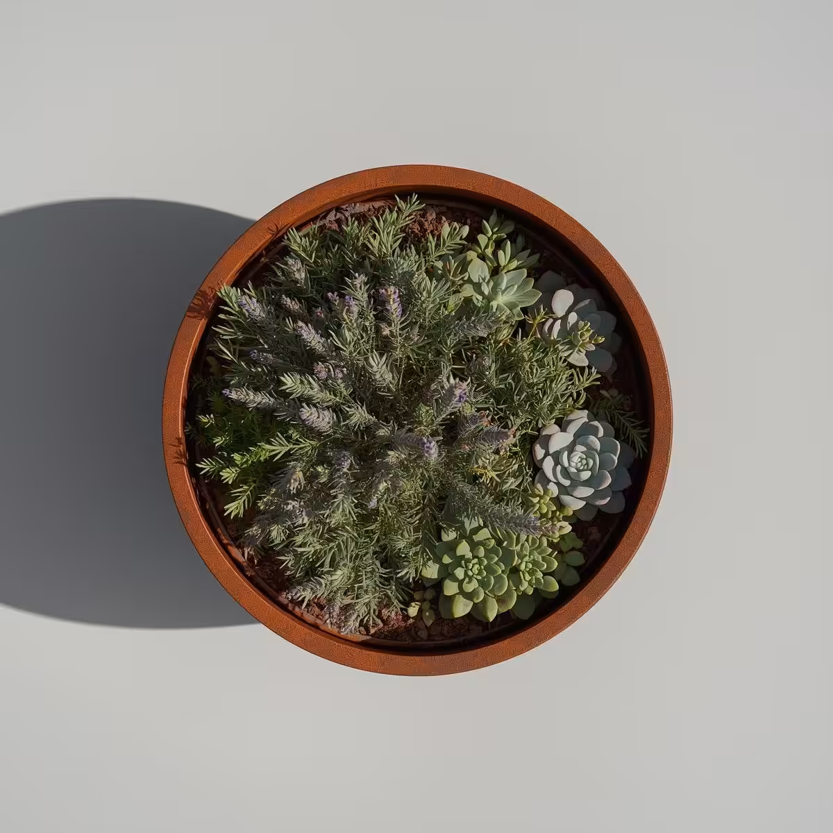 jardinière ronde en acier corten sur mesure
